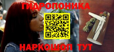 jwh Камышлов
