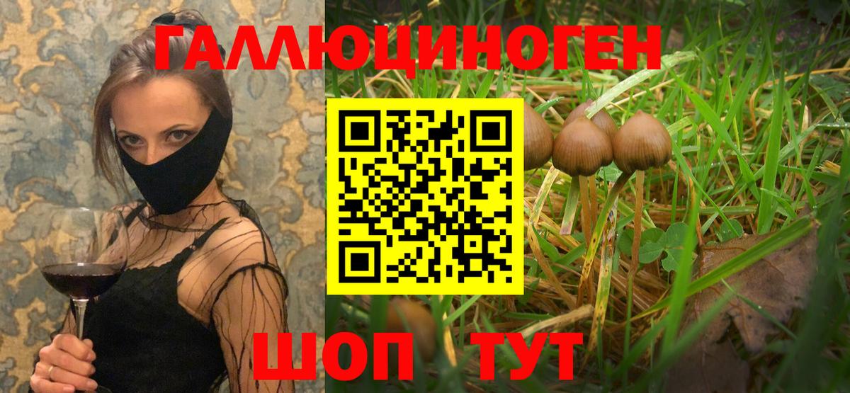 Галлюциногенные грибы GOLDEN TEACHER Валуйки