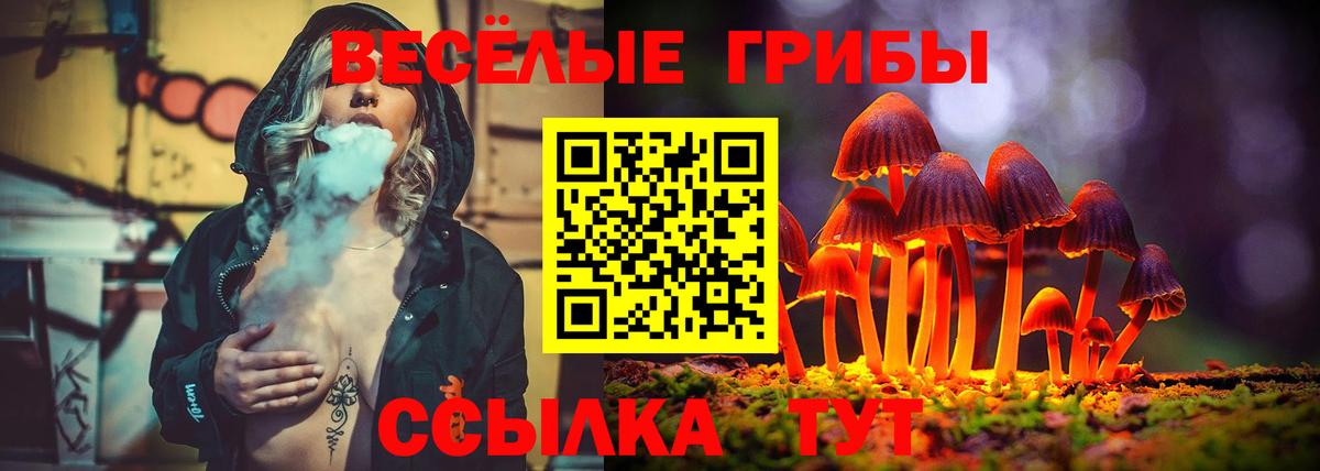 Псилоцибиновые грибы Cubensis  Вход с VPN  Псилоцибиновые грибы Psilocybe  закладка  Валуйки 
